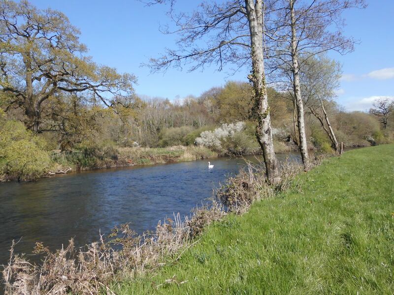Leafy Loop, river Nore. Photograph: John G O'Dwyer