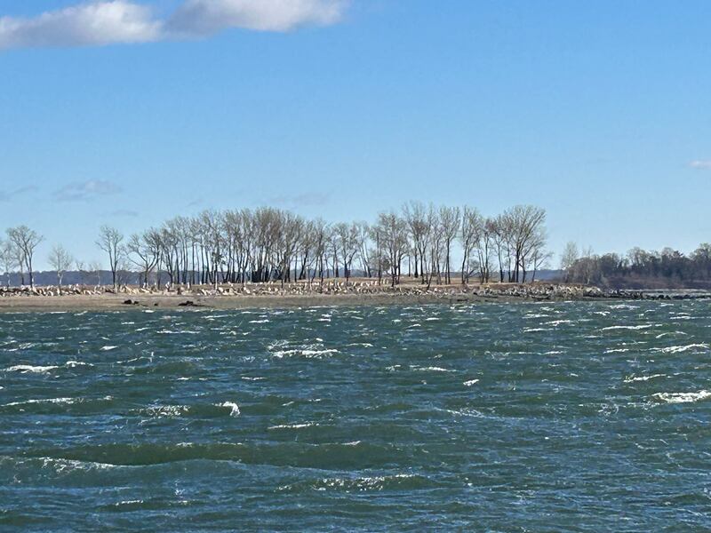 It can only be accessed via the ferry  that departs on select Tuesday mornings, weather permitting, several times a month. Photograph: Michael Fitzpatrick