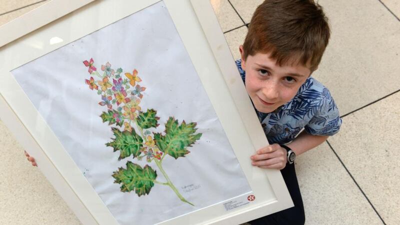 Stephen Walsh, Ratoath Senior NS, Co Meath with Hydrangeas. He won 1st place in the 9 to 11 years category at the 61st Texaco Children’s Art Competition. Photograph: Dara Mac Dónaill