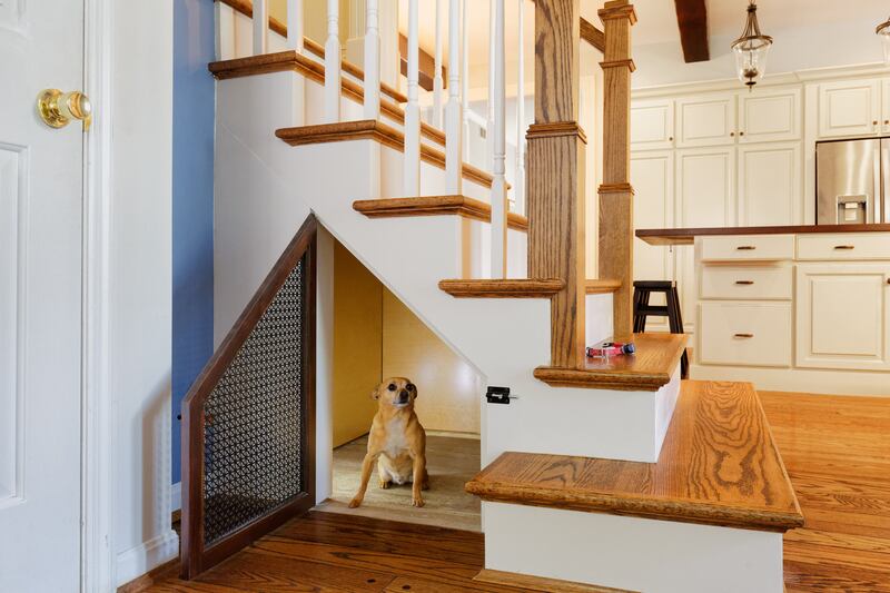 Michaelson Homes: an understairs sleep space for a small dog. Photograph: William Manning