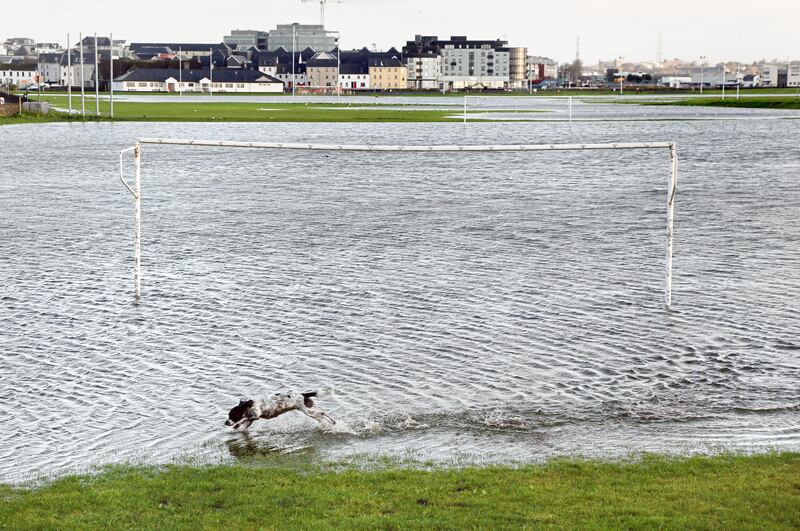 A dog splashes through a flooded soccer pitch in South Park, Galway City. Photograph: Joe O'Shaughnessy