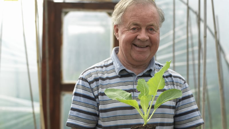 Ireland’s reigning champion sweet pea grower John Warren. Photograph: Richard Johnston