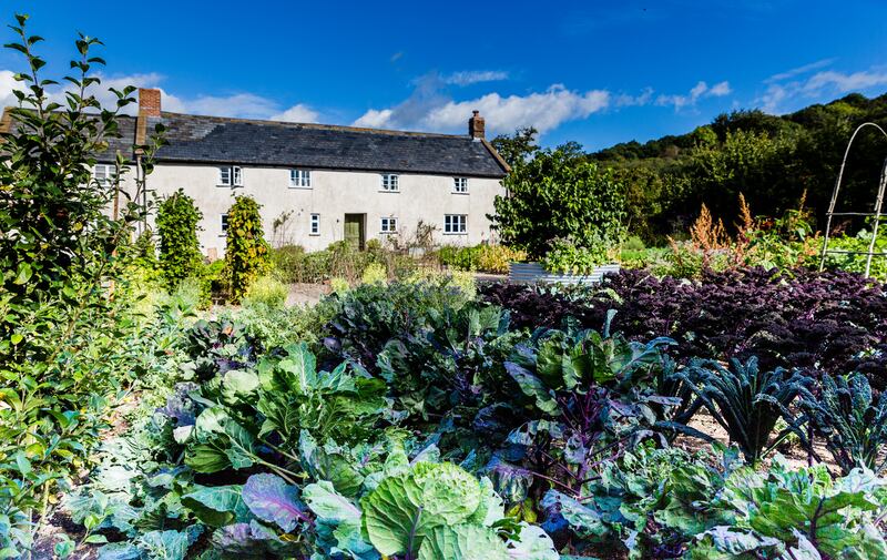 Fresh ingredients are kept close to the kitchen. Photograph: Nick Hook