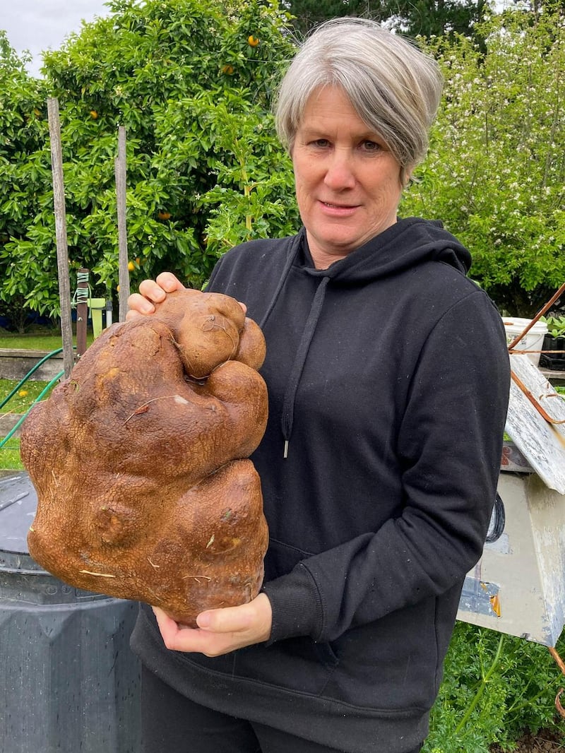Donna Craig-Brown holds Dug  in the garden of her small farm near Hamilton, New Zealand. Photograph: Colin Craig-Brown via AP