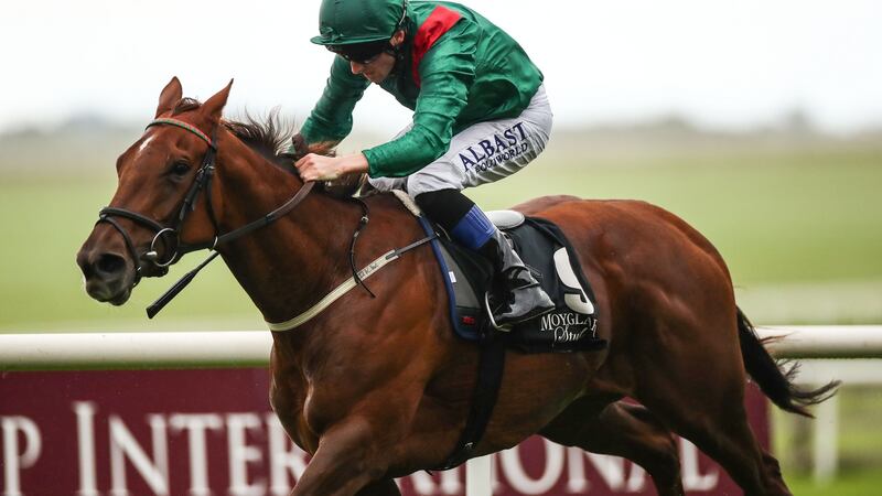 The Dermot Weld-trained  filly Tarnawa is set to run in the €1 million Irish Champion Stakes before a crack at the Prix de l’Arc de Triomphe. Photograph: James Crombie/Inpho