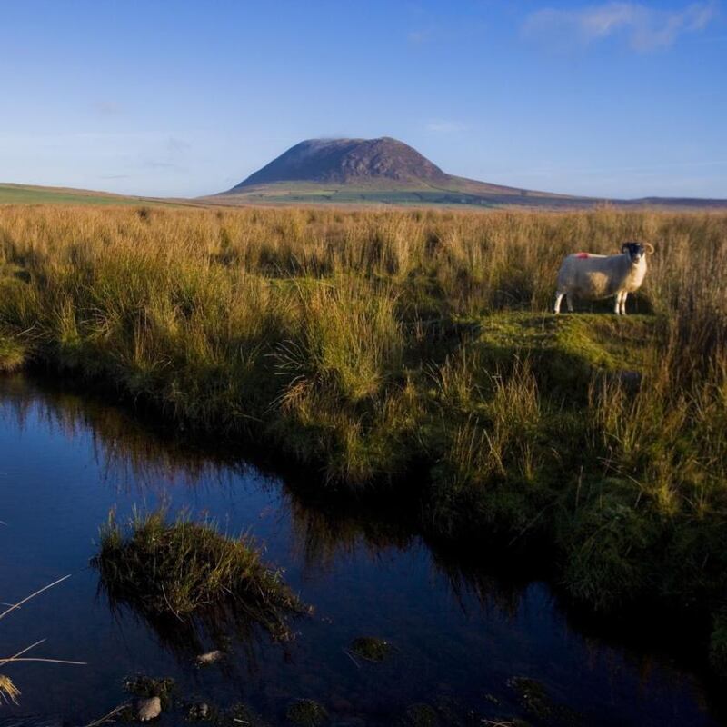 St Patrick’s route: Slemish Mountain. Photograph: NITB