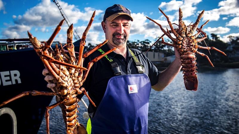 Giant Lobster Hunters