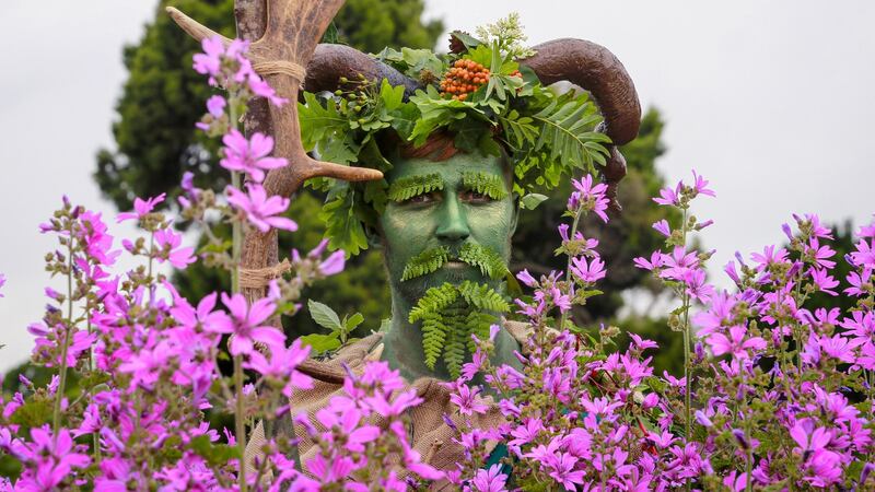 Cormac Nugent from Extinction Rebellion takes part in a recent protest outside the Botanical Gardens in Glasnevin, where the Forestry Industries Ireland conference took place. Photograph: Crispin Rodwell for the Irish Times