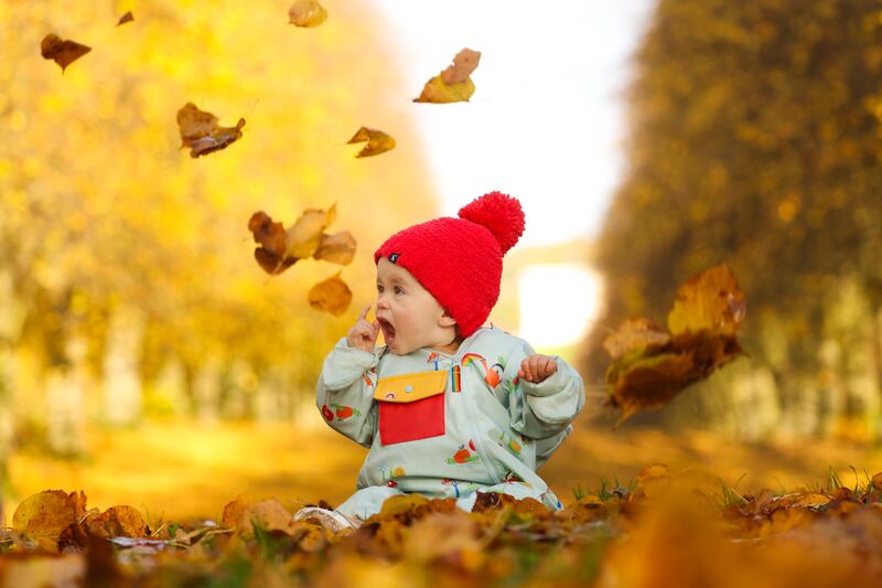 One-year-old Louisa enjoying the colours at Stormont in east Belfast. Photograph: Jonathan Porter/PressEye
