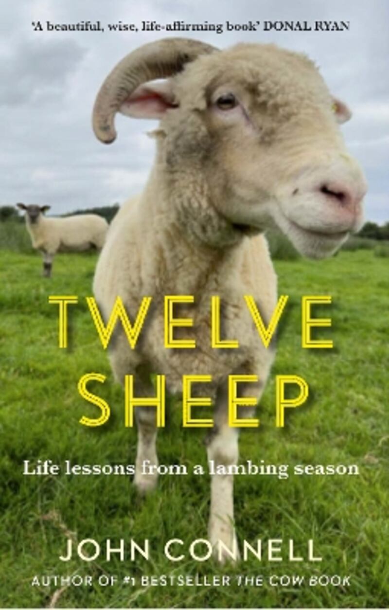 Twelve Sheep by John Connell, published by Atlantic Books