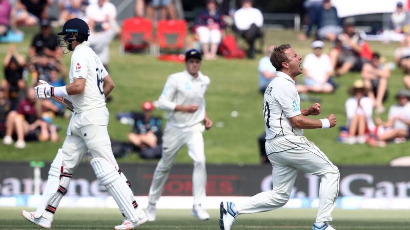 Neil Wagner celebrates the wicket of Joe Root. Photograph: Phil Walter/Getty