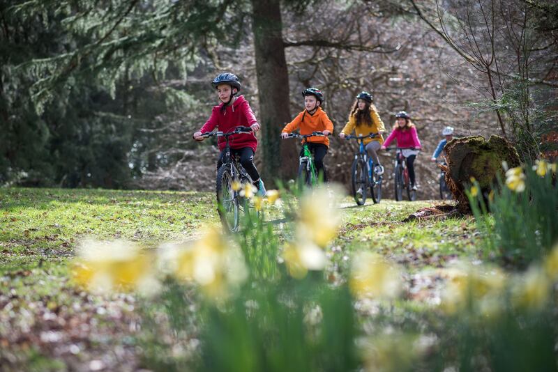 Remember to bring a packed lunch with you to Gosford Forest Park. Photograph: Tony Pleavin/Craigavon Council
