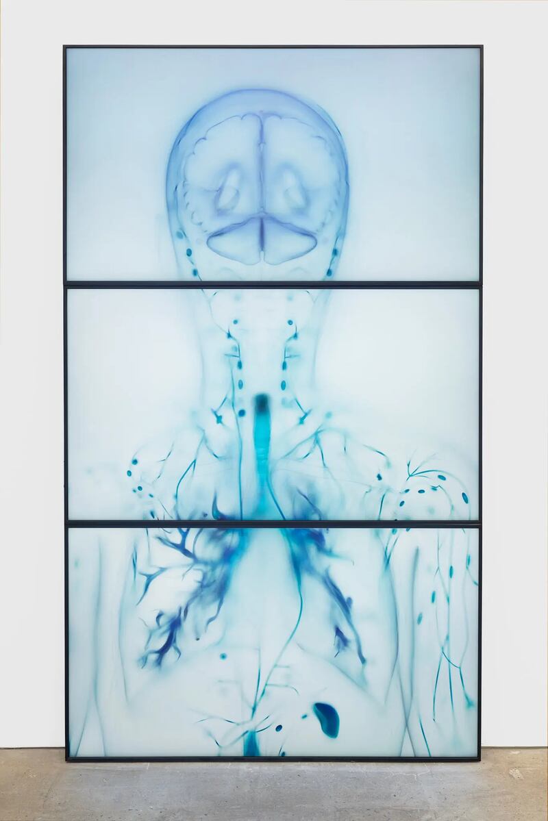 Untitled (After Sensory Primer) by Kate Cooper 