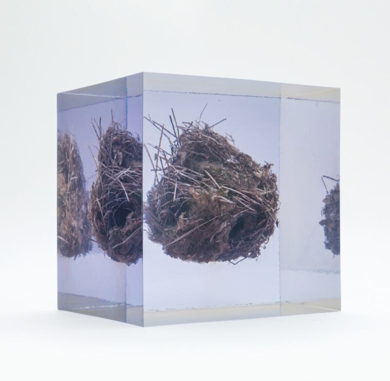 Eilis O’Connell, Wren’s Nest, nest, cast resin. Photograh: Steve Russell Studios