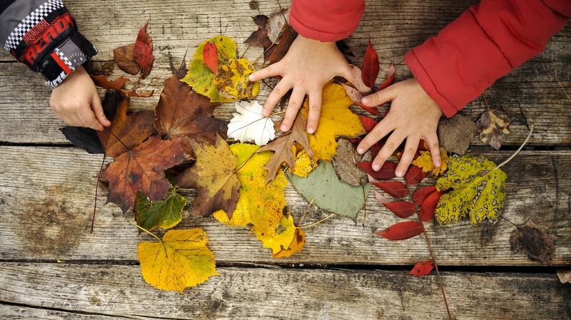 Engage With Nature  provides hands-on activities for children to do at home with a parent or guardian. Activities range from how to grow seedlings to growing carrots in a dustbin. Each activity is paired with a video explainer. Photograph: iStock