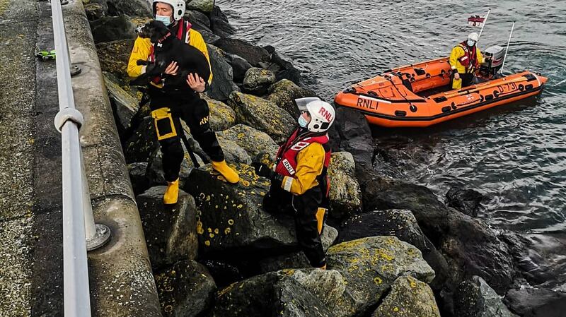 The RNLI team rescuing Archie the dog from the rocks at Dun Laoghaire’s marina pier. Photograph: RNLI