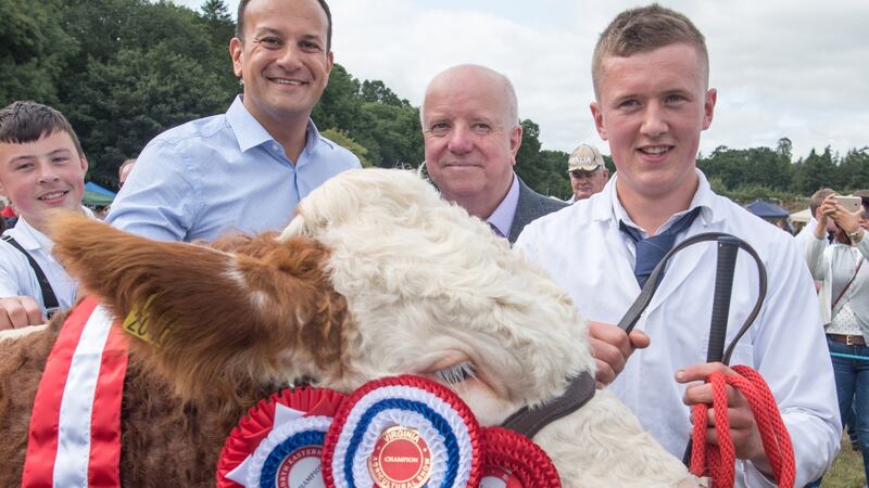 Taoiseach Leo Varadkar  meets Sean Brady from Castleblayney, Co Monaghan and a prize-winning Simmental on a visit to the Virginia Show. Photograph: Barry Cronin