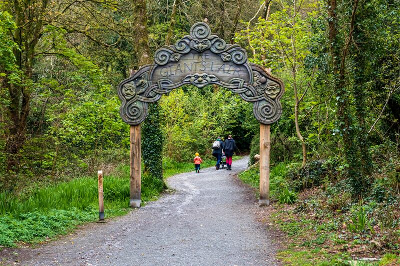 Slieve Gullion Forest Park, Co Armagh. Photograph: Gareth Wray