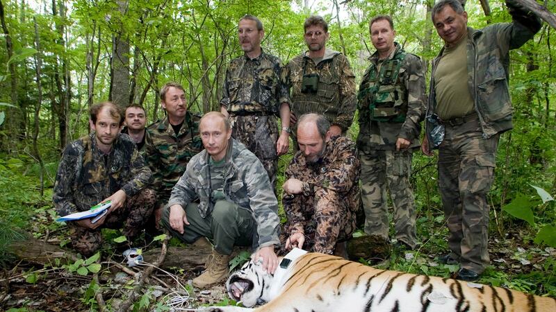 Putin tagging a Siberian Tiger while visiting the Barabash tiger reserve in eastern Siberia. Photograph: Animal Press/Barcroft Media/Getty Images