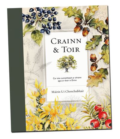 Crainn agus Toir le Máirín Uí Chonchubhair
