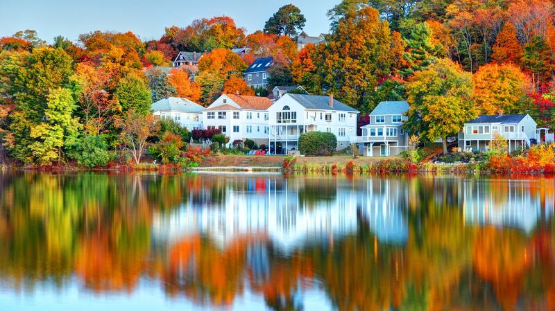 Leaf peeping in autumn in the Brighton neighborhood of Boston
