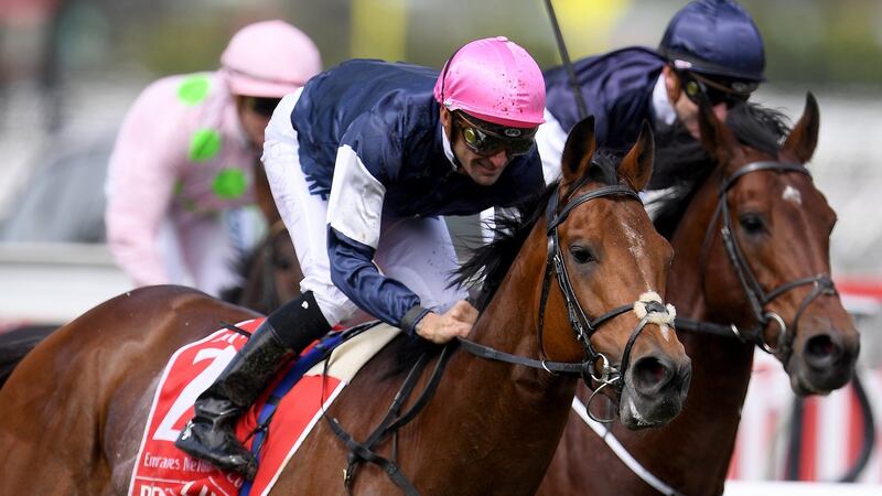 Rekindling ridden by Australian jockey Corey Brown (front) wins the Melbourne Cup. Photograph: EPA
