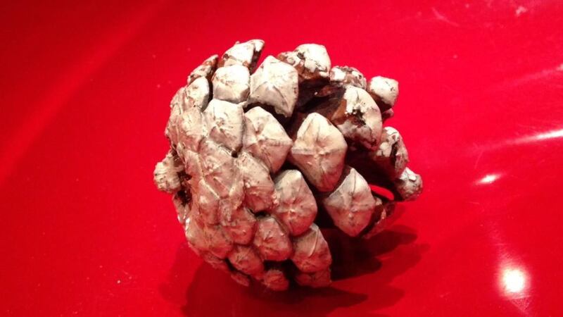 My Coney: Joan Denihan’s bauble