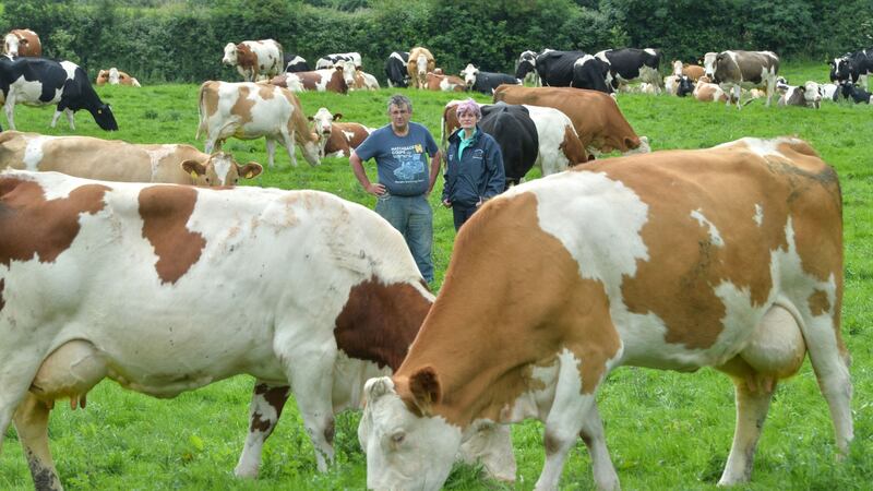 Liam and Marian Minehan of the Fight the Pipe campaign, in the field on their Co Tipperary farm where the proposed Irish Water pipe is to be laid underground. Photograph: Alan Betson