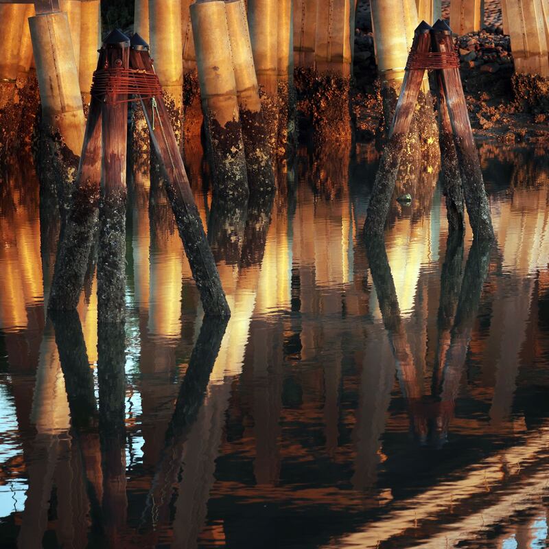 South Carolina’s Chappaquiddick? The bridge witnesses say Paul Murdaugh crashed his family’s boat into. Photograph: Travis Dove/New York Times