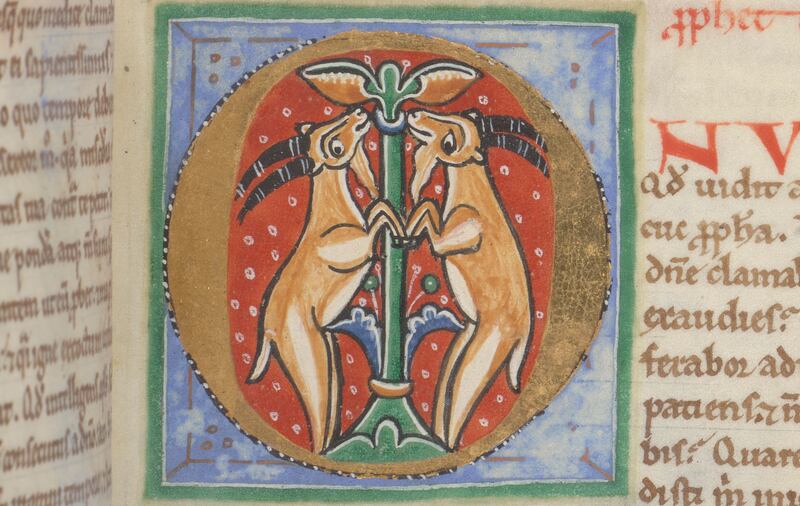 Two goats in the 12th-century West Dereham Bible, from St Albans. Photograph: Trinity College Dublin