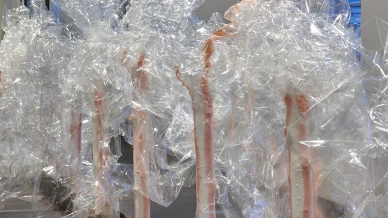 Prospects, the corridor installation in Karla Black’s Imma exhibition