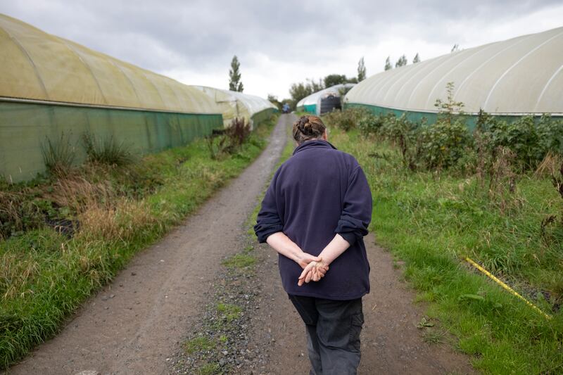 Jenny McNally walks through the growing tunnels at the McNally Family Farm. Photograph: Chris Maddaloni/The Irish Times