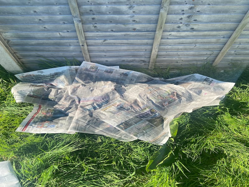 For my 'no-dig' flower bed  I started out by laying down two layers of newspaper into the shape of the bed that I wanted