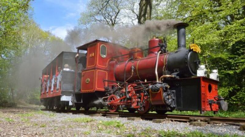 Stradbally Woodland Railway. Photograph: Kieran Marshall