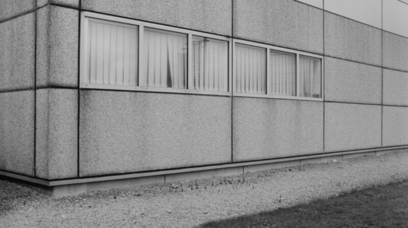 Pebble Dash, 2019. Photograph: Samuel Laurence Cunnane