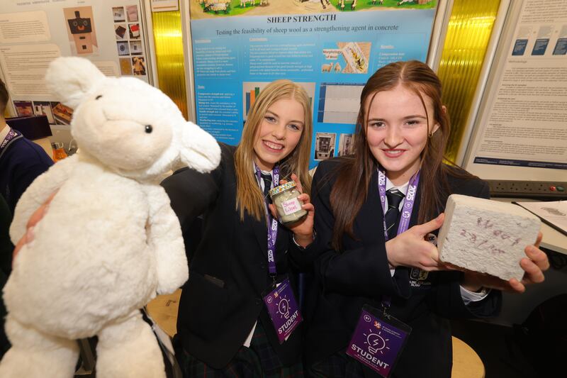 Runner-up group prize: Aoife Fadian and Jessica O’Connor from Ursuline College, Sligo, with their project Sheep Strength, using wool to reinforce concrete. Photograph: Alan Betson

