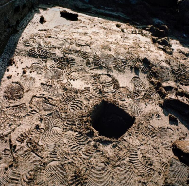 From Innocent Landscapes, David Farrell