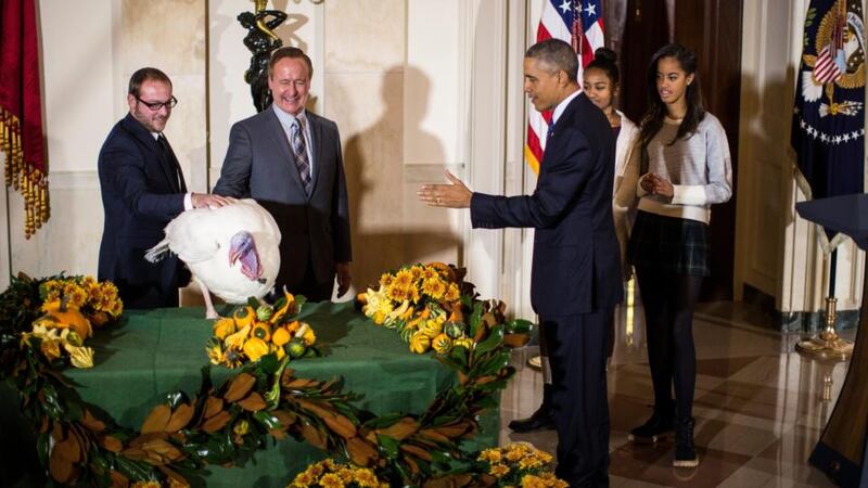 President Barack Obama pardons Cheese, the National Thanksgiving turkey, as his daughters Sasha and Malia, right, look on. Photograph: Jabin Botsford/The New York Times