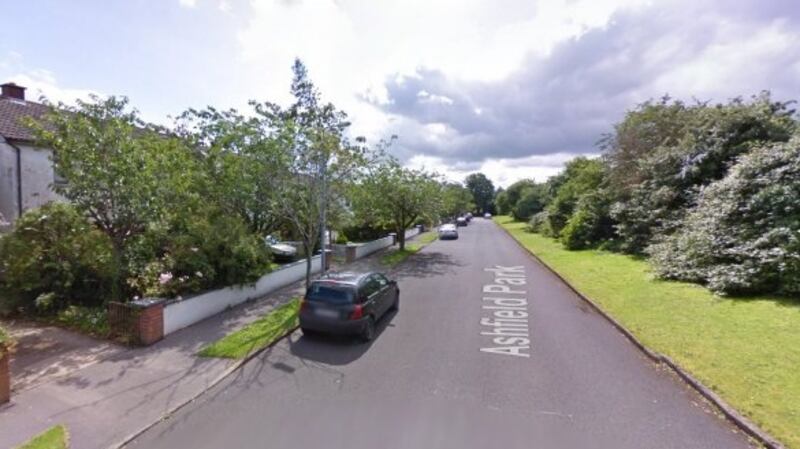 Ashfield Park, Naas Co Kildare. Photograph: Google