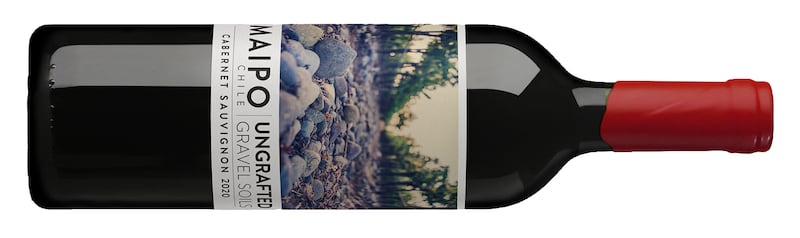 De Martino Ungrafted Maipo Cabernet Sauvignon 2021 