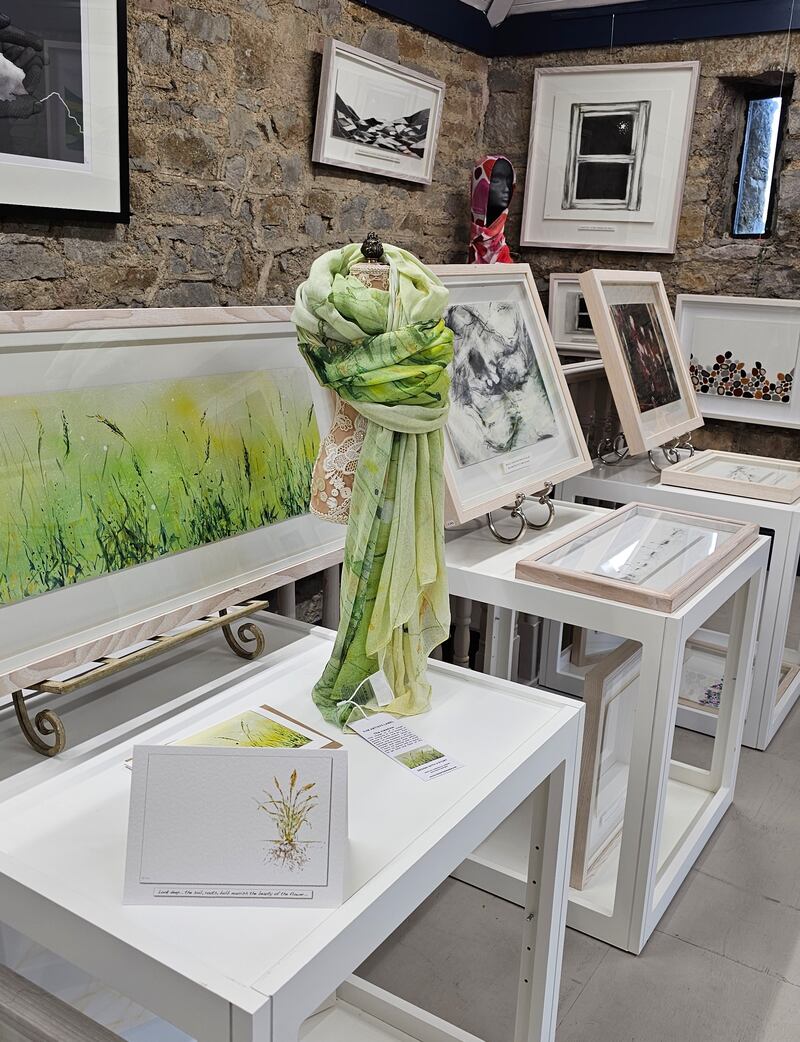 The inaugural exhibition at Anam Gallery in Roscommon town features work by Rita Oates, Joe Caslin and Una Bourke.