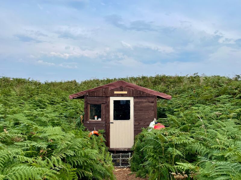 Ireland’s Eye. Photograph: Mairéad Bolger