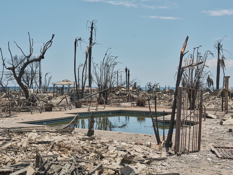 Ruins surround a pool in Lahaina, Maui, Hawaii, two days after the historic town was devastated by wildfire. Photograph: Philip Cheung/New York Times
                      
