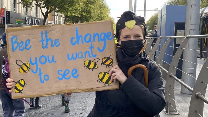 Emily Price, from Co Clare, dressed as a bee, travelled for the protest in Dublin. Photograph: Jack Power
