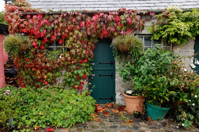 Converted stables/outbuildings. Photograph: Alan Betson