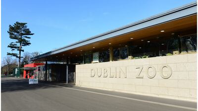 I have never been to Cape Town, but I can still surmise that Table Mountain is a more gruelling run than a little trek around Dublin Zoo