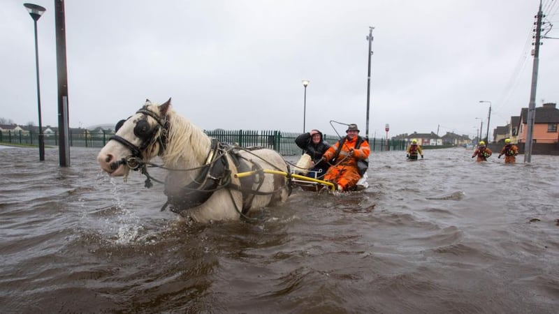 Local man Ger Hogan and his horse ferries people in and out of Saint Marys Park in Limerick after the River Shannon burst its banks in Limerick City. Photograph: Sean Curtin