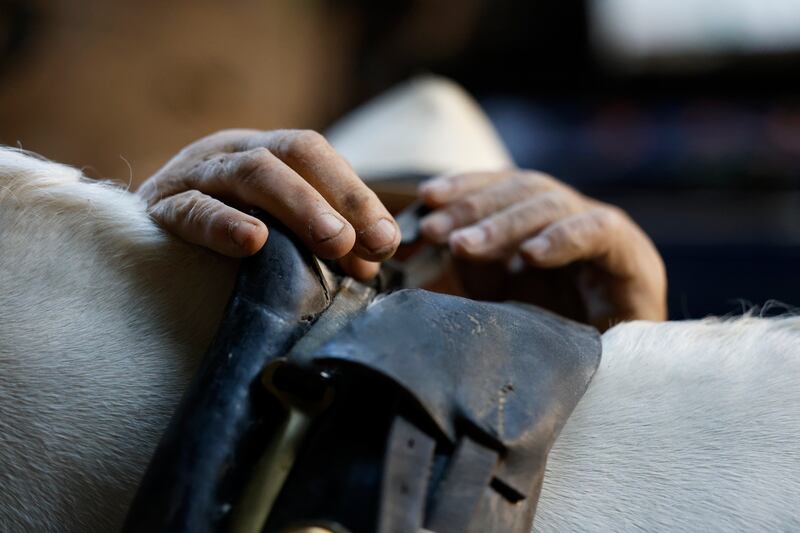 Padser and his mare Christine. Photograph: Nick Bradshaw