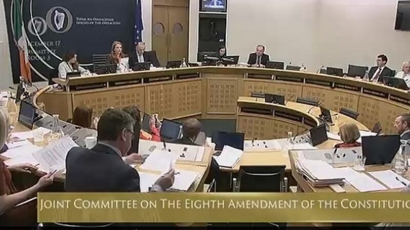Members of the Oireachtas Committee on the Eighth Amendment at their meeting on Wednesday.