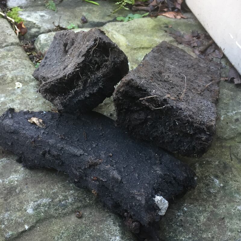 ‘It’s ragged stuff alright, very natural, organic even, and guaranteed to stink out the neighbours.’